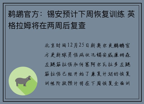 鹈鹕官方:锡安预计下周恢复训练 英格拉姆将在两周后复查